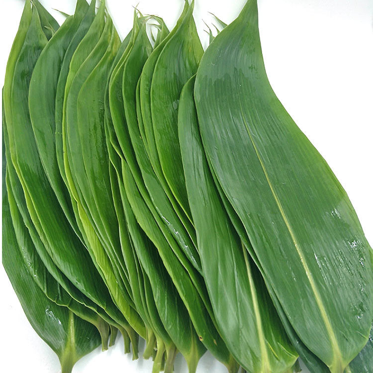 Natural Big Size Sushi Food Decoration Bamboo Leaves 7-11cm