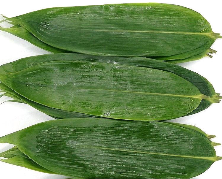 Green Fresh Sushi Rolling Bamboo Leaf 5-11 cm for Rice Dumplings