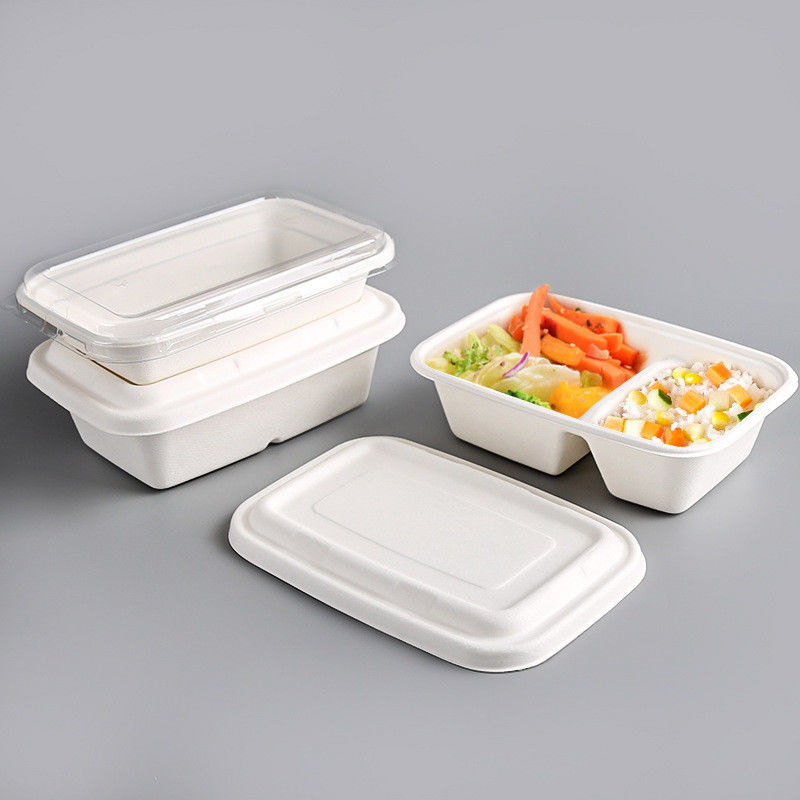 100% Compostable Food Container